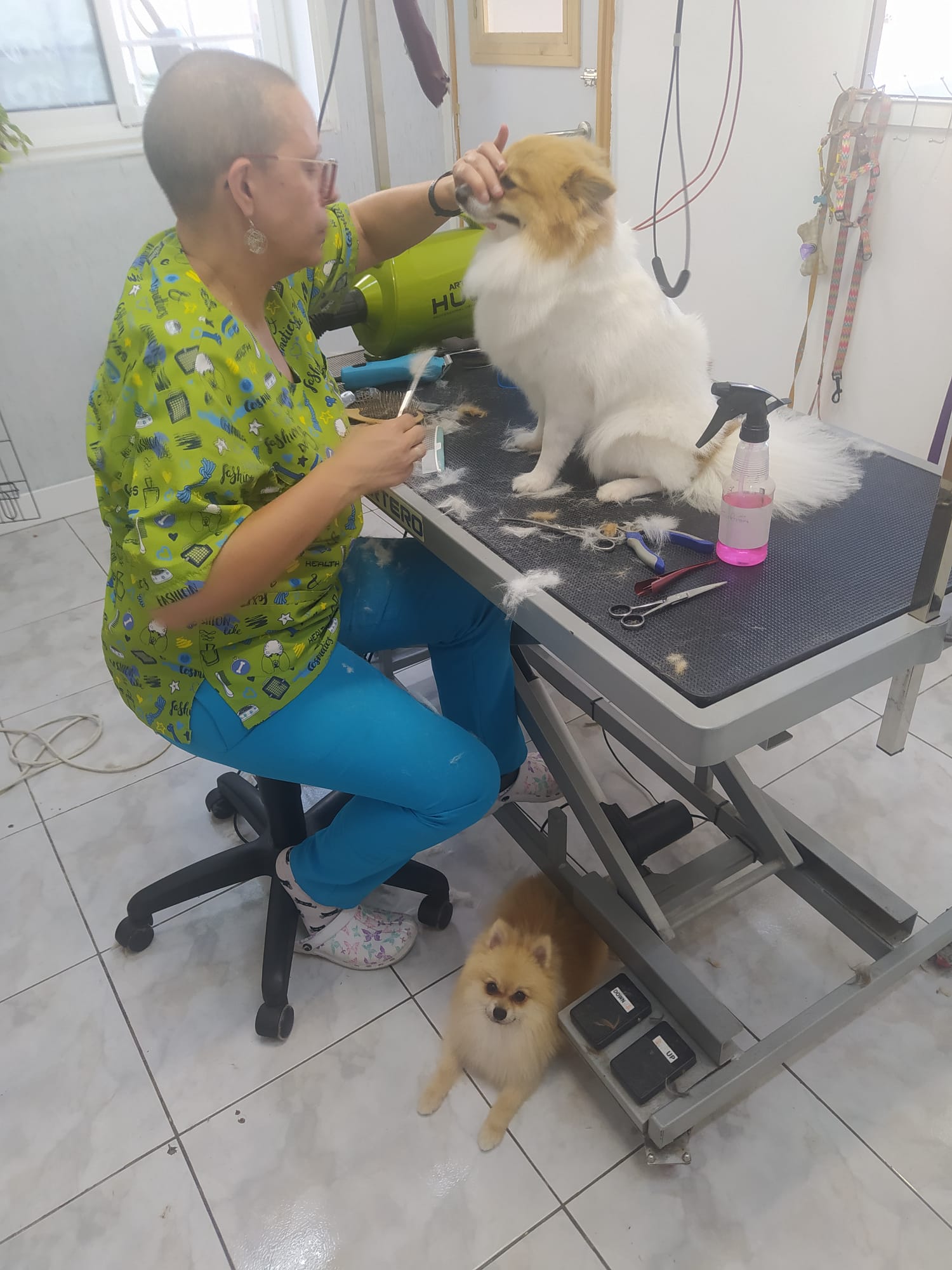 WhatsApp Image 2025 02 17 at 15.21.59 1